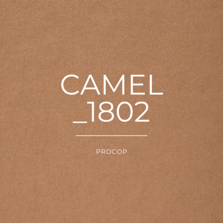 Papier Création Color 1802 Camel FSC 100% Recyclé Procop