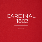 Papier Création Cardinal Color 1802
