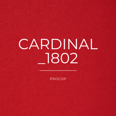 Papier Création Cardinal Color 1802