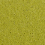 Chlorophyll Blattgrun Bio Cycle | Gmund