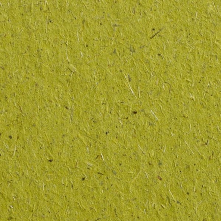 Chlorophyll Blattgrun Bio Cycle | Gmund