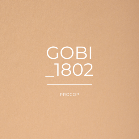 Papier de Création Gobi Color 1802