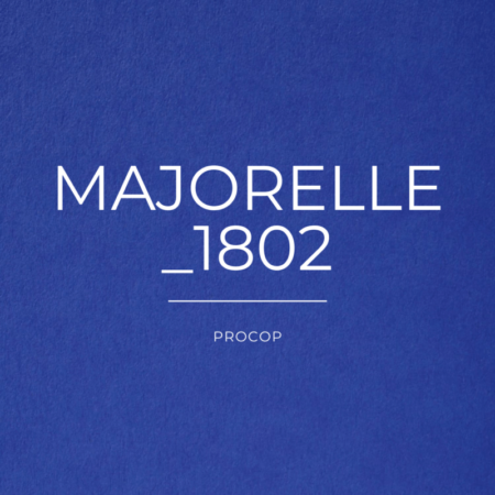 Papier de Création Majorelle Color 1802