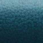 Peacock Leather | Gmund