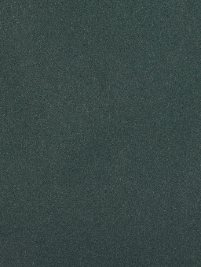 Papier de Création Colorplan Racing Green