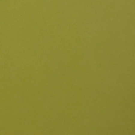 GREEN APPLE - FOR FOOD - GMUND