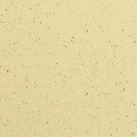 Lager Bier _ Gmund _ Beige