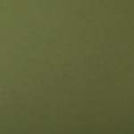 Mid Green _ Colorplan