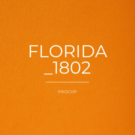 Papier Création | Florida | Color 1802 | FSC 100% Recyclé 1